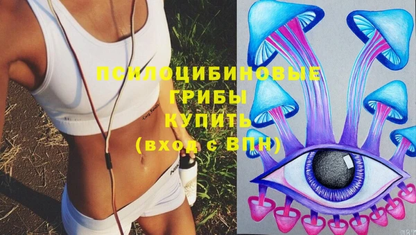 шишки Володарск